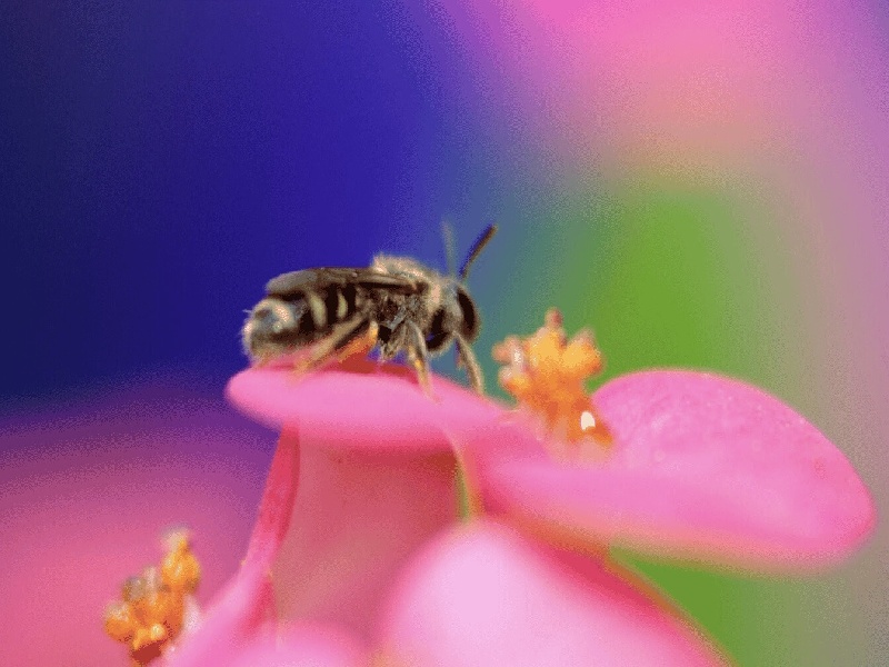 成都泰国试管婴儿费用（试管后润康）——